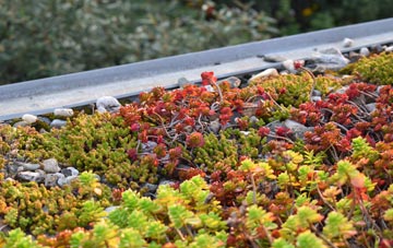 the cost of Faceby green roof installation