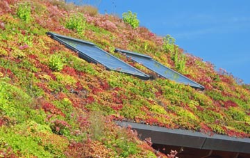 Faceby living roof systems