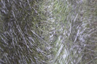 Faceby fibreglass roof work